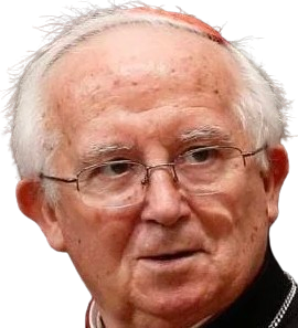 Antonio Canizares Llovera